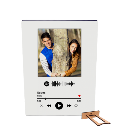Panel spotify