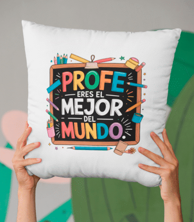 Cojines especial profes