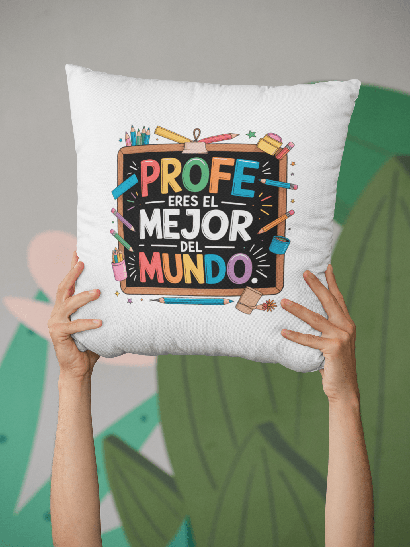 Cojines especial profes